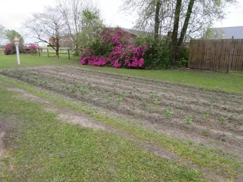 2415 John Green Smith Rd, Deep Run, NC 28525 photo 40