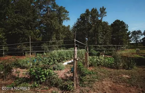 13657 Nc Highway 210, Ivanhoe, NC 28447 photo 28