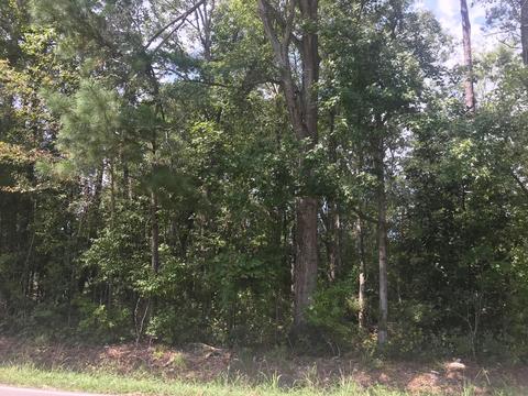 406 E Thurman Rd, New Bern, NC 28560 photo 2