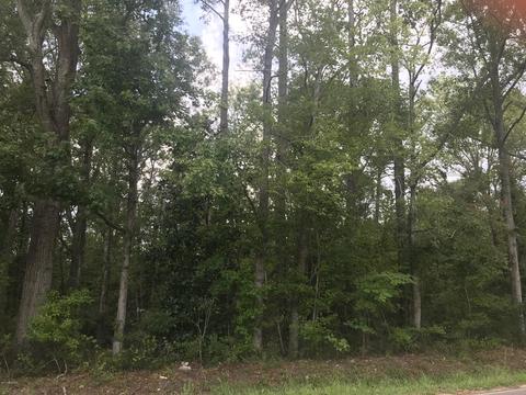 406 E Thurman Rd, New Bern, NC 28560 photo 1