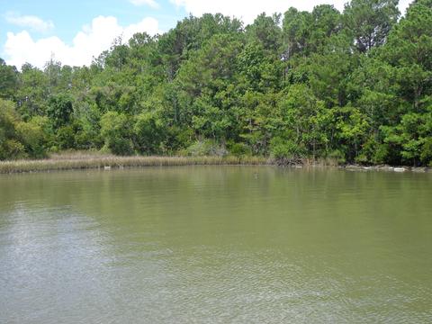 349 Beacon Ln, Sneads Ferry, NC 28460
