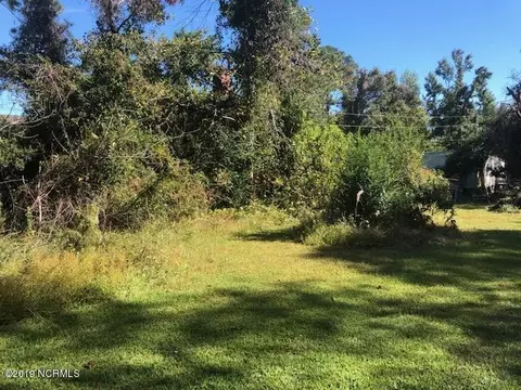 301 Parrot Swamp Loop Rd, Hubert, NC 28539 photo 5