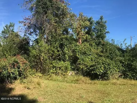 301 Parrot Swamp Loop Rd, Hubert, NC 28539 photo 4