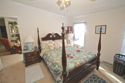 233 Parrot Swamp Loop Rd, Hubert, NC 28539 photo 14