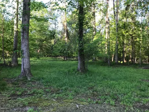 116 Evans Mill Rd, New Bern, NC 28562 photo 19