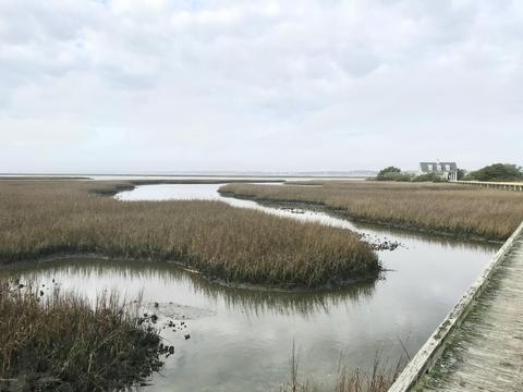105 Sound Side Dr, Atlantic Beach, NC 28512 photo 10