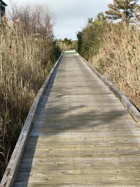 105 Sound Side Dr, Atlantic Beach, NC 28512 photo 6