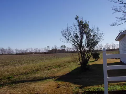 5799 S Hwy 258 S, Deep Run, NC 28525 photo 35