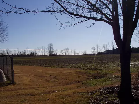 5799 S Hwy 258 S, Deep Run, NC 28525 photo 38