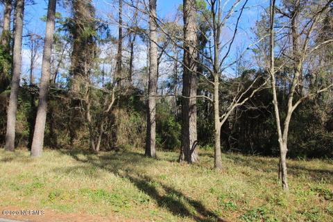 1013 Michael Dr, New Bern, NC 28560 photo 14