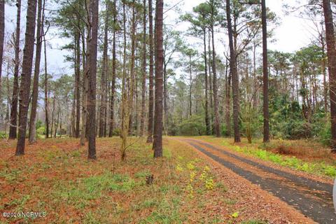 1013 Michael Dr, New Bern, NC 28560 photo 2