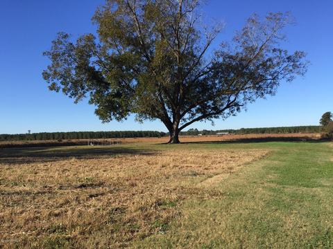 6562 Fire Dept Rd, Williamston, NC 27892 photo 17