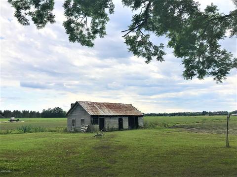 6562 Fire Dept Rd, Williamston, NC 27892 photo 22