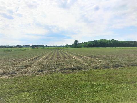6562 Fire Dept Rd, Williamston, NC 27892 photo 19