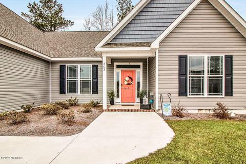 303 Big Pine Ct, Hubert, NC 28539 photo 1