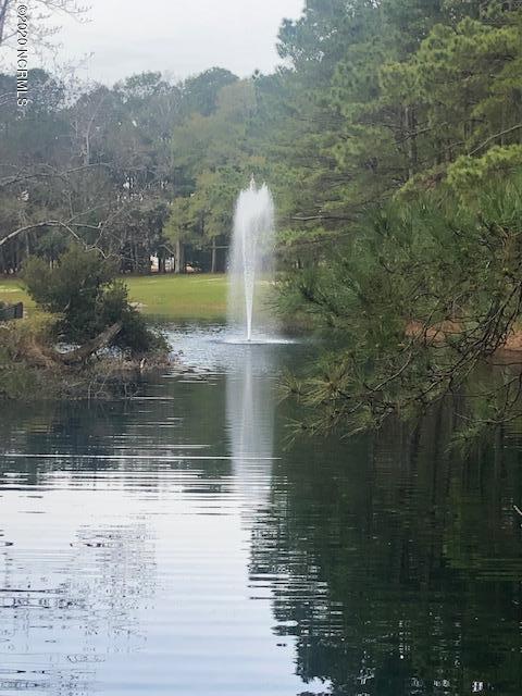 9258 Devaun Pointe Cir, Calabash, NC 28467 photo 20