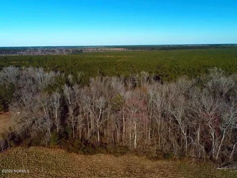 0 Shiloh Rd, Willard, NC 28478 photo 9
