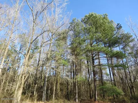 0 Shiloh Rd, Willard, NC 28478 photo 8