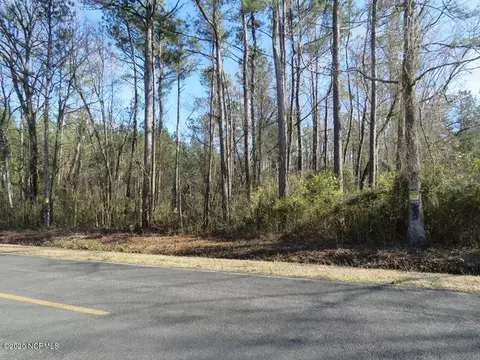 0 Shiloh Rd, Willard, NC 28478 photo 4