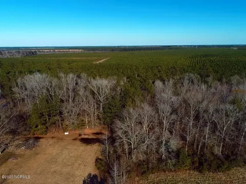 0 Shiloh Rd, Willard, NC 28478 photo 7