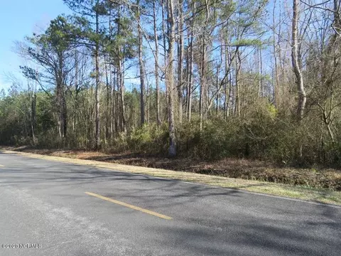 0 Shiloh Rd, Willard, NC 28478 photo 6