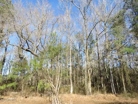 0 Shiloh Rd, Willard, NC 28478 photo 10