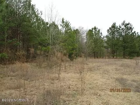 3157 N Mccullen Rd, Faison, NC 28341 photo 3
