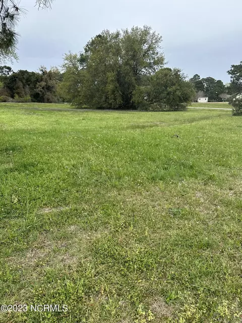 6035 Dolphin Rd, Oriental, NC 28571