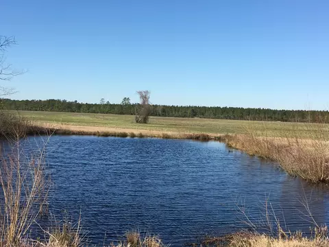 13757 Shiloh Rd, Ivanhoe, NC 28447 photo 5