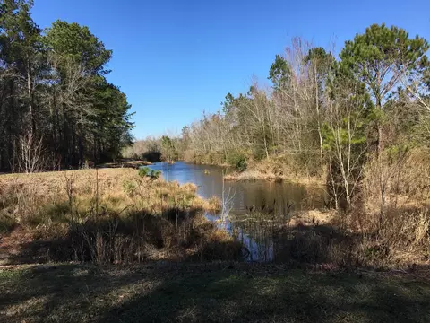 13757 Shiloh Rd, Ivanhoe, NC 28447 photo 7