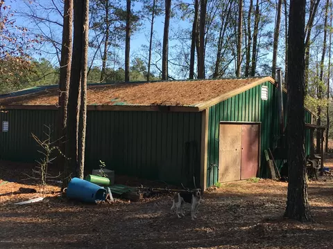13757 Shiloh Rd, Ivanhoe, NC 28447 photo 4