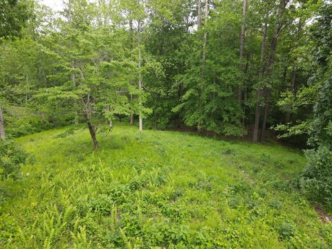 111 Nanticoke Ct, Chocowinity, NC 27817 photo 6