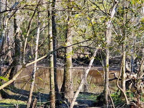 111 Nanticoke Ct, Chocowinity, NC 27817 photo 12
