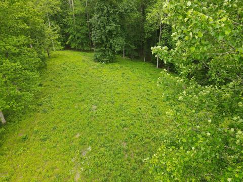 111 Nanticoke Ct, Chocowinity, NC 27817 photo 4