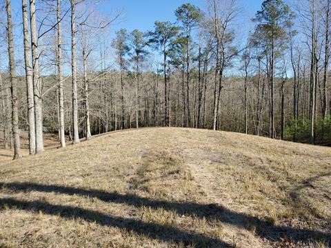 111 Nanticoke Ct, Chocowinity, NC 27817 photo 10