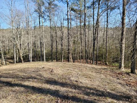 111 Nanticoke Ct, Chocowinity, NC 27817 photo 11