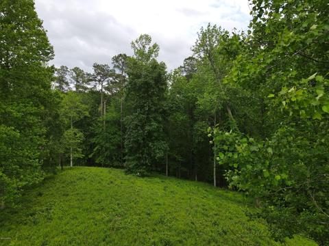 111 Nanticoke Ct, Chocowinity, NC 27817 photo 3