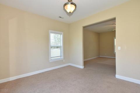 226 Nelson Park Rd, Maple Hill, NC 28454 photo 12