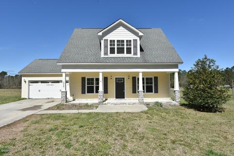 226 Nelson Park Rd, Maple Hill, NC 28454 photo 2