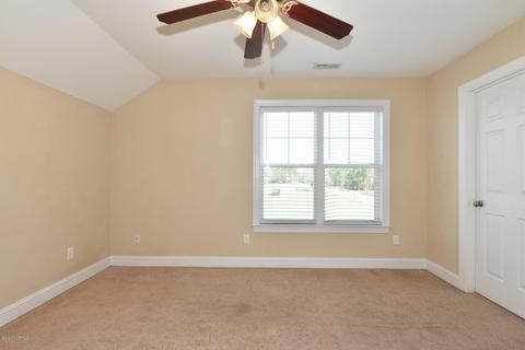 226 Nelson Park Rd, Maple Hill, NC 28454 photo 23