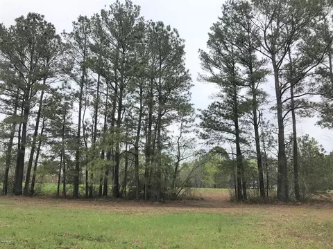 237 W Winding Way, Wallace, NC 28466 photo 2