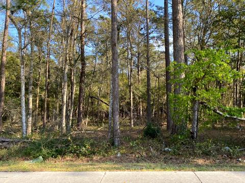 1140 Cedar Point Blvd, Cedar Point, NC 28584 photo 2