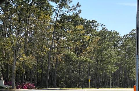 1140 Cedar Point Blvd, Cedar Point, NC 28584 photo 6