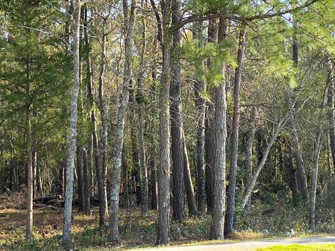 1140 Cedar Point Blvd, Cedar Point, NC 28584 photo 5