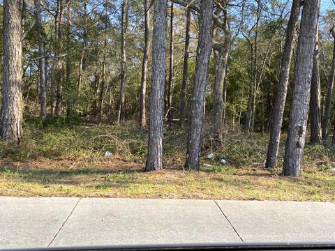 1140 Cedar Point Blvd, Cedar Point, NC 28584 photo 3
