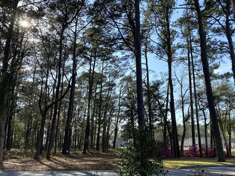 1140 Cedar Point Blvd, Cedar Point, NC 28584 photo 8
