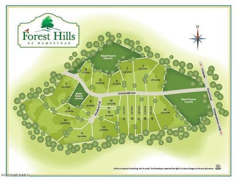 185 Orchard Mill Rd, Hampstead, NC 28443 photo 3