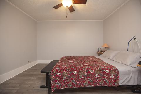 435 Doctors Creek Rd, Willard, NC 28478 photo 12