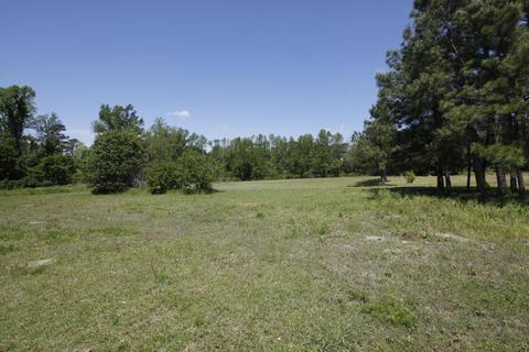 435 Doctors Creek Rd, Willard, NC 28478 photo 21