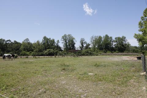435 Doctors Creek Rd, Willard, NC 28478 photo 19